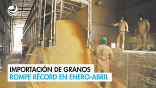 Importación de granos rompe récord en enero-abril