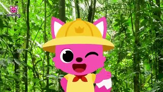 Let’s Find the Jumbled Jungle Animal Sounds- Story for Kids Old Macdonald Had a Farm Pinkfong