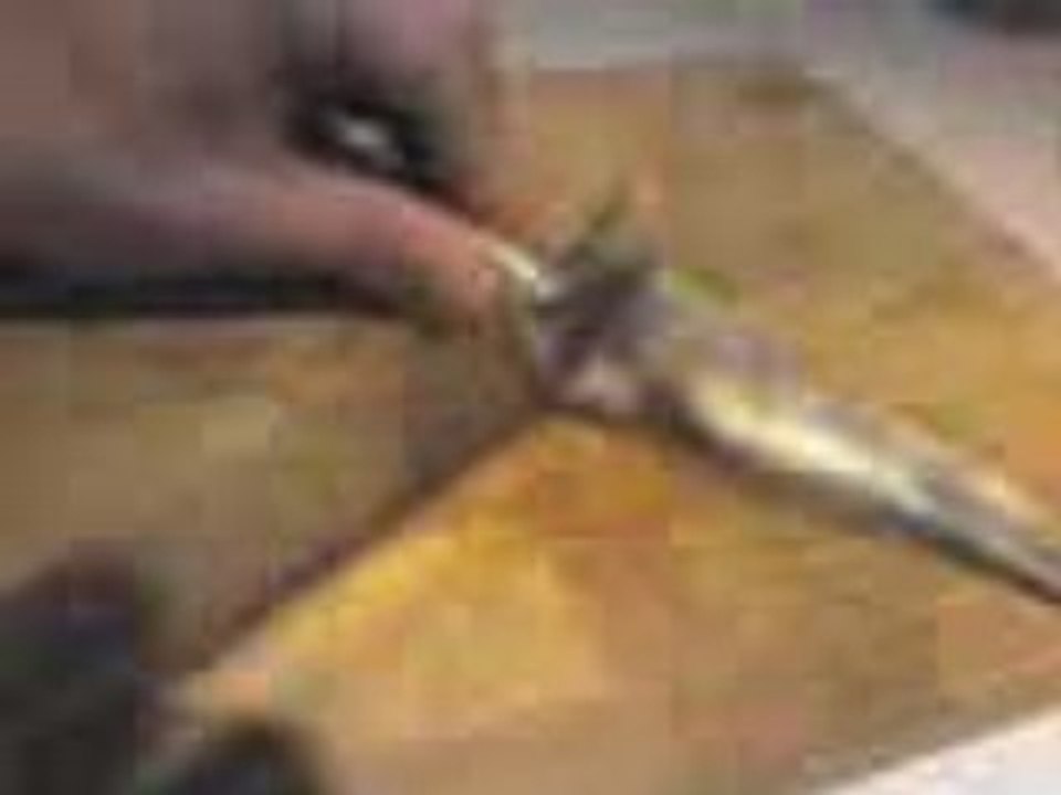 aiguillette