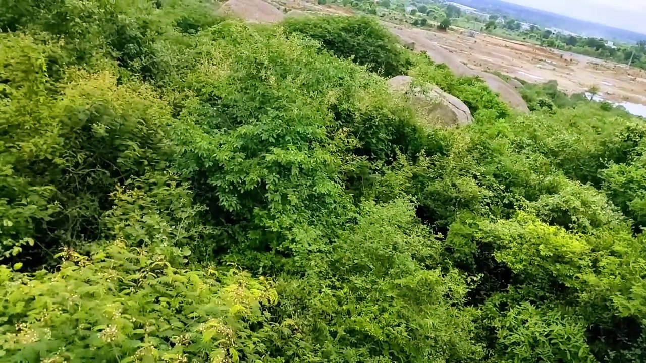 video_20220701_160131~2