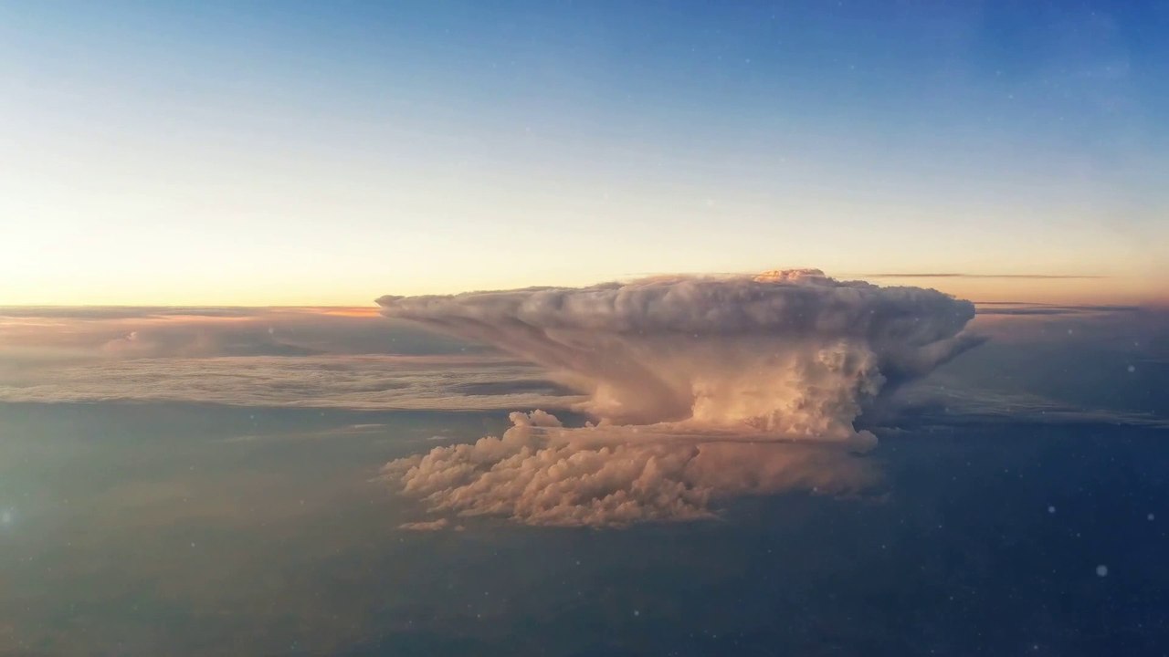 Storm Mushroom