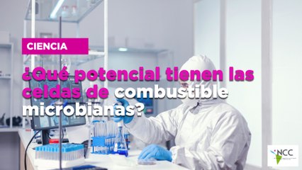 ¿Qué potencial tienen las celdas de combustible microbianas?