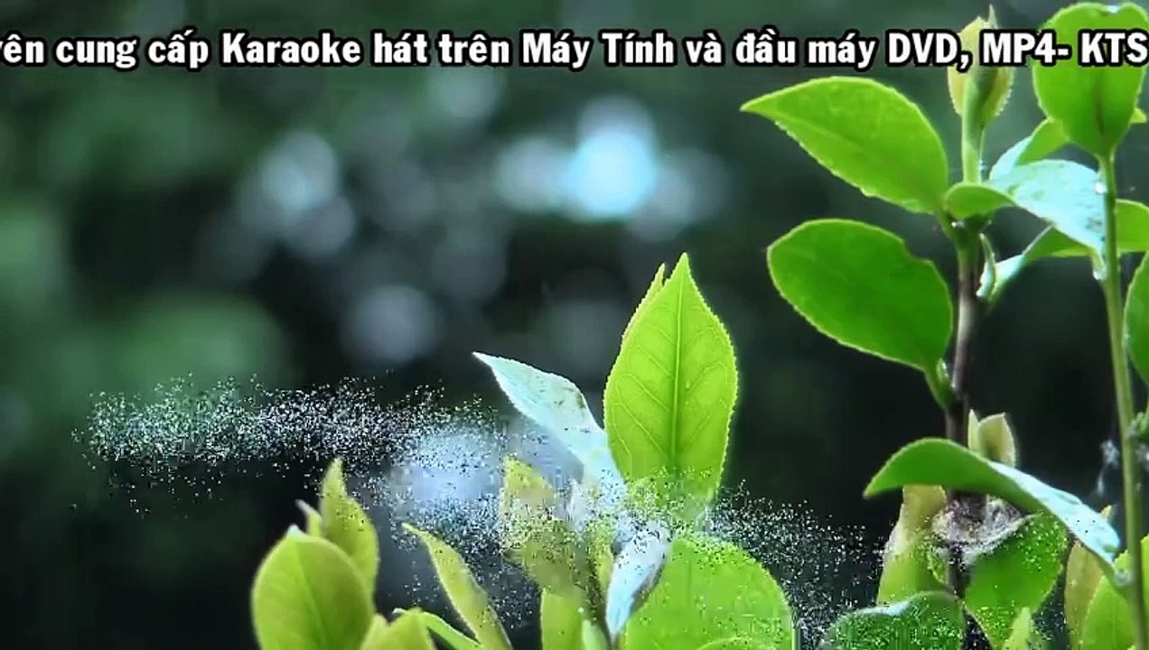 KARAOKE SONG QUE