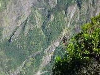 Rando dimitile par sentier de bayonne 048