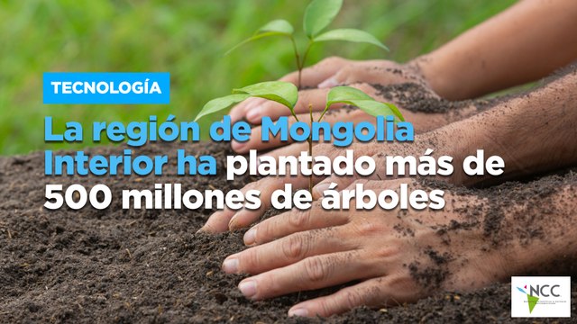 La región de Mongolia Interior ha plantado más de 500 millones de árboles