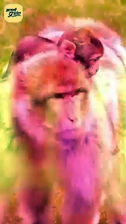 जानवर बना दिया || आचार्य प्रशांत