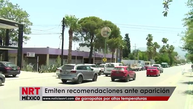 Emiten recomendaciones ante aparición de garrapatas por altas temperaturas