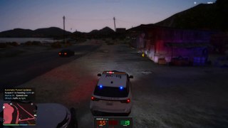 Underglow Neon Police Chase (GTA 5 LSPDFR)