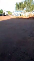 Carniça! Moradora denuncia carcaça abandonada em frente a residência