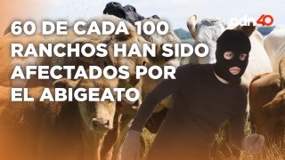 Abigeato el delito de robo de ganado y animales domésticos 60 de cada 100 ranchos han sido afectados