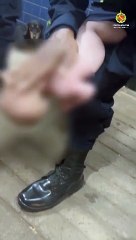 Polícia salva bebê de 32 dias que estava engasgado no Gama
