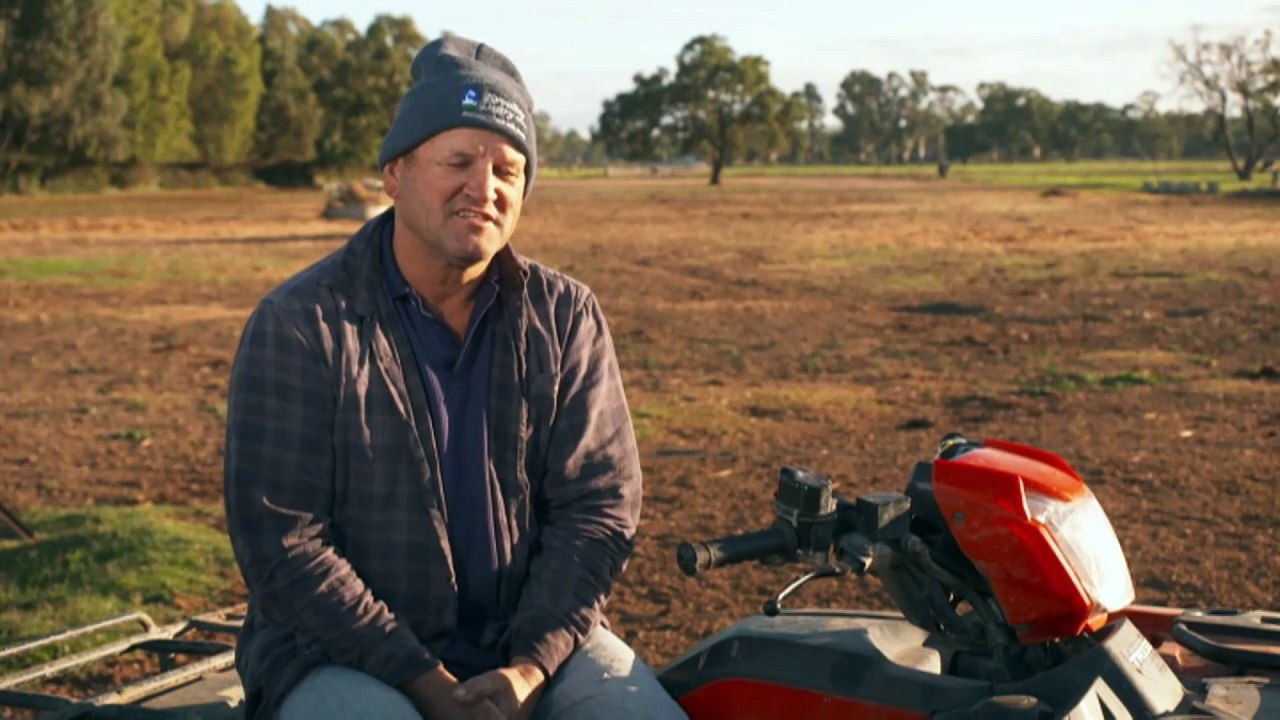 Dairy farmers exit industry in droves, factories close as reliance on imported milk products grows