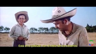El Niño y El Toro    ( Michel Ray  -- Cine Internacional  Subtitulada