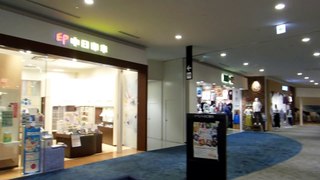 Hanko Shop in Japan