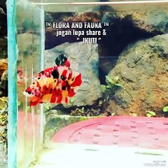 20240516_112847551.mp4_play_ID