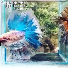 20240516_111934134.mp4_play_ID