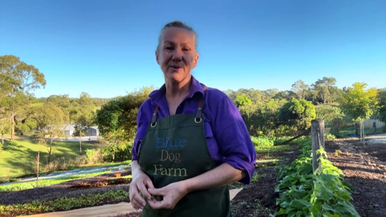 Reko online farmers' markets increasing in popularity as supermarkets accused of price gouging