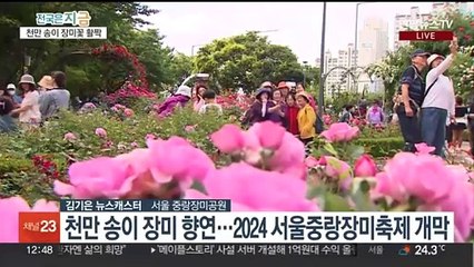 천만송이 장미 '활짝'…2024 중랑 서울장미축제