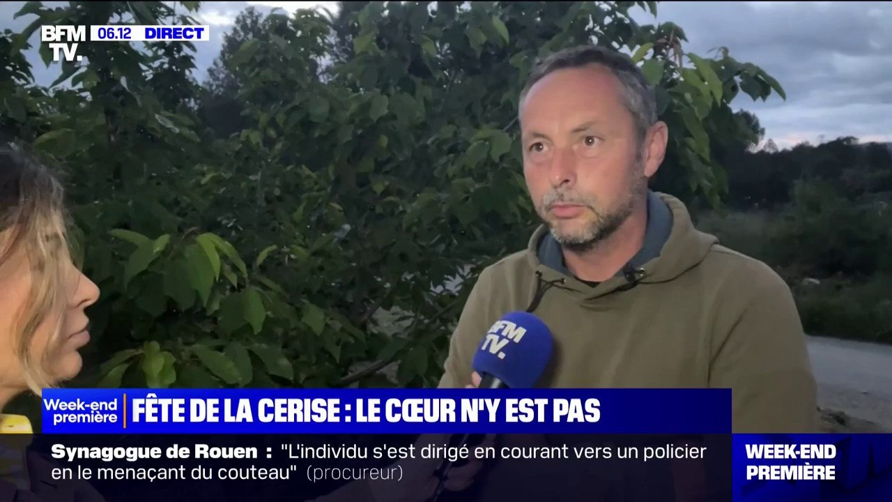 À cause des fortes pluies, ce producteur de cerises des Pyrénées-Orientales accuse de nombreuses pertes