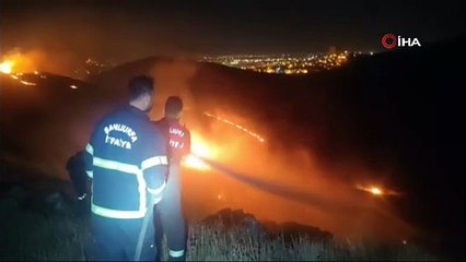 Ormanlık alana yayılmıştı! O yangın söndürüldü