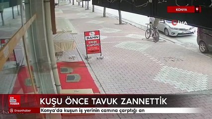 Konya’da kuşun iş yerinin camına çarptığı an