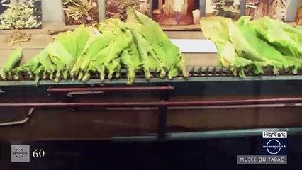 Tips-4-Trips - #Tipp20 -- Das Tabakmuseum in Bergerac in einer Minute