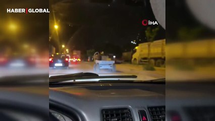Başıboş at arabası şehir turu attı, görenler şaştı kaldı