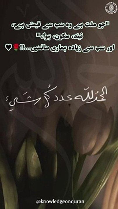 Qemti chezain
