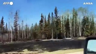 Incendi in Canada, boschi devastati in Alberta