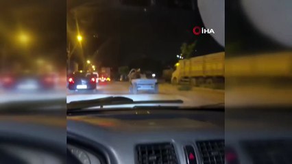 Başıboş at şehir turu  attı