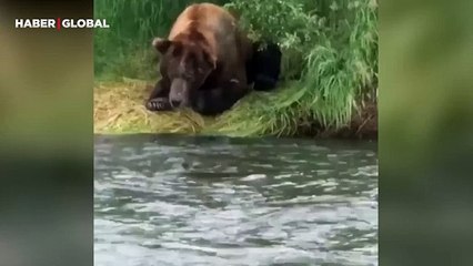 Balık avlayan bozayının zahmetsiz performansı izlenme rekoru kırdı