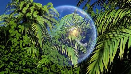 Videografik: Die Versauerung der Meere