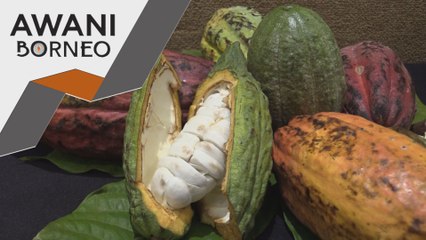 RM5 juta diperuntukkan bagi projek pemulihan di Sabah