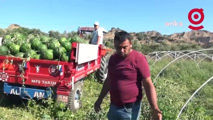 AYDINLI KARPUZ ÜRETİCİSİ: "PARA KAZANMAMIZ İÇİN KARPUZUN KİLOSUNU 20 LİRAYA SATMAMIZ LAZIM"