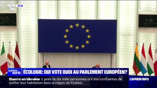 Écologie: Qui vote quoi au Parlement européen?