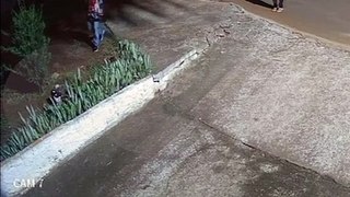 Absurdo! Vídeo mostra jovem chutando gato em frente à condomínio de Cascavel
