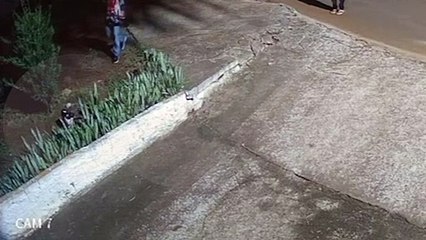 Absurdo! Vídeo mostra jovem chutando gato em frente à condomínio de Cascavel