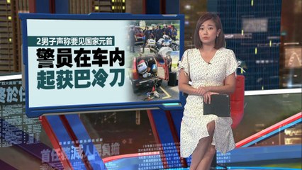 男子持刀试图闯入国家王宫，警察迅速封锁现场🚔