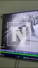 camaras de seguridad