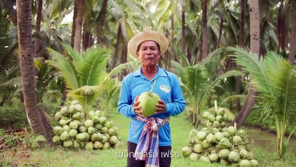 นิรโทษ 112 จุด(ไม่)ติด  เพื่อไทยเจอวิกฤต “กลืนน้ำลาย” | ขอเวลานอก | 18 พ.ค. 67 | PART 1