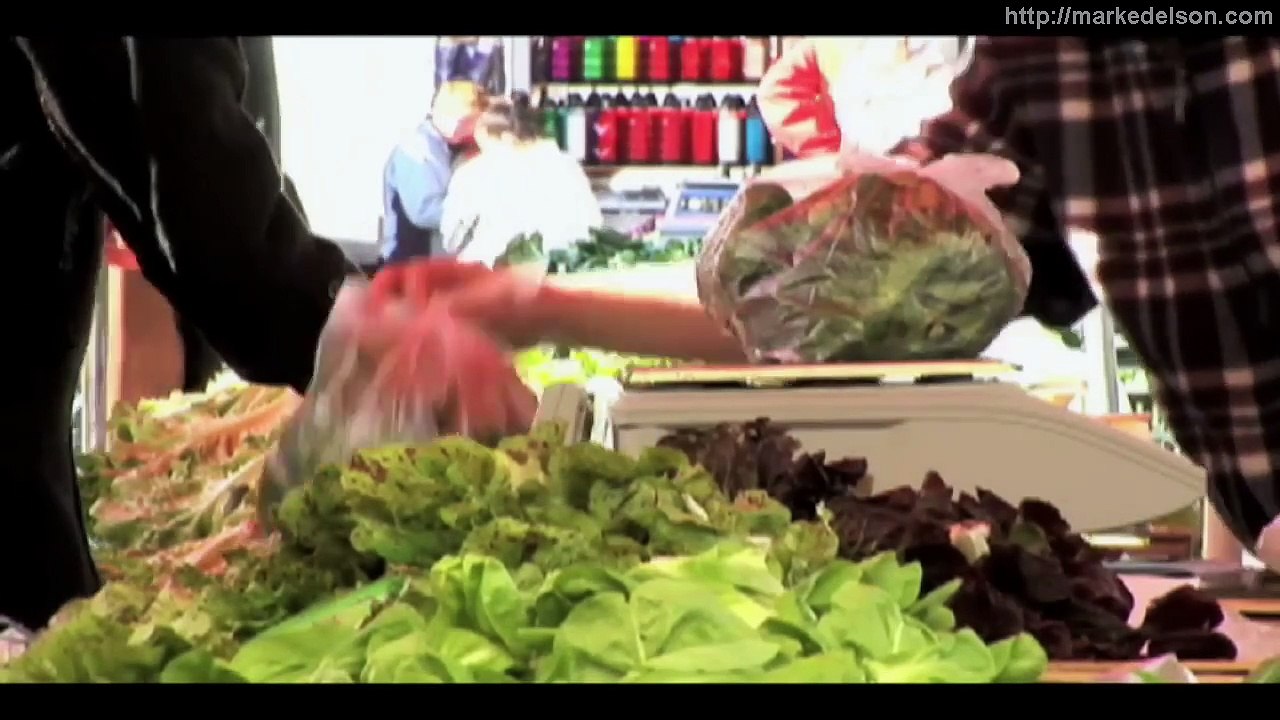 lifestyles intra herbal health juice drink 23 botanicals worldwide distributors