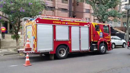 Resgate de gato dá trabalho aos Bombeiros na Rua São Paulo