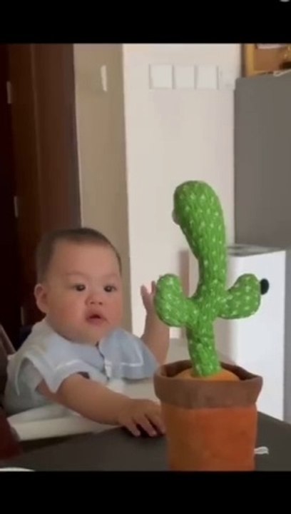 Babies play dancing cactus toy. Cutest baby funniest moments