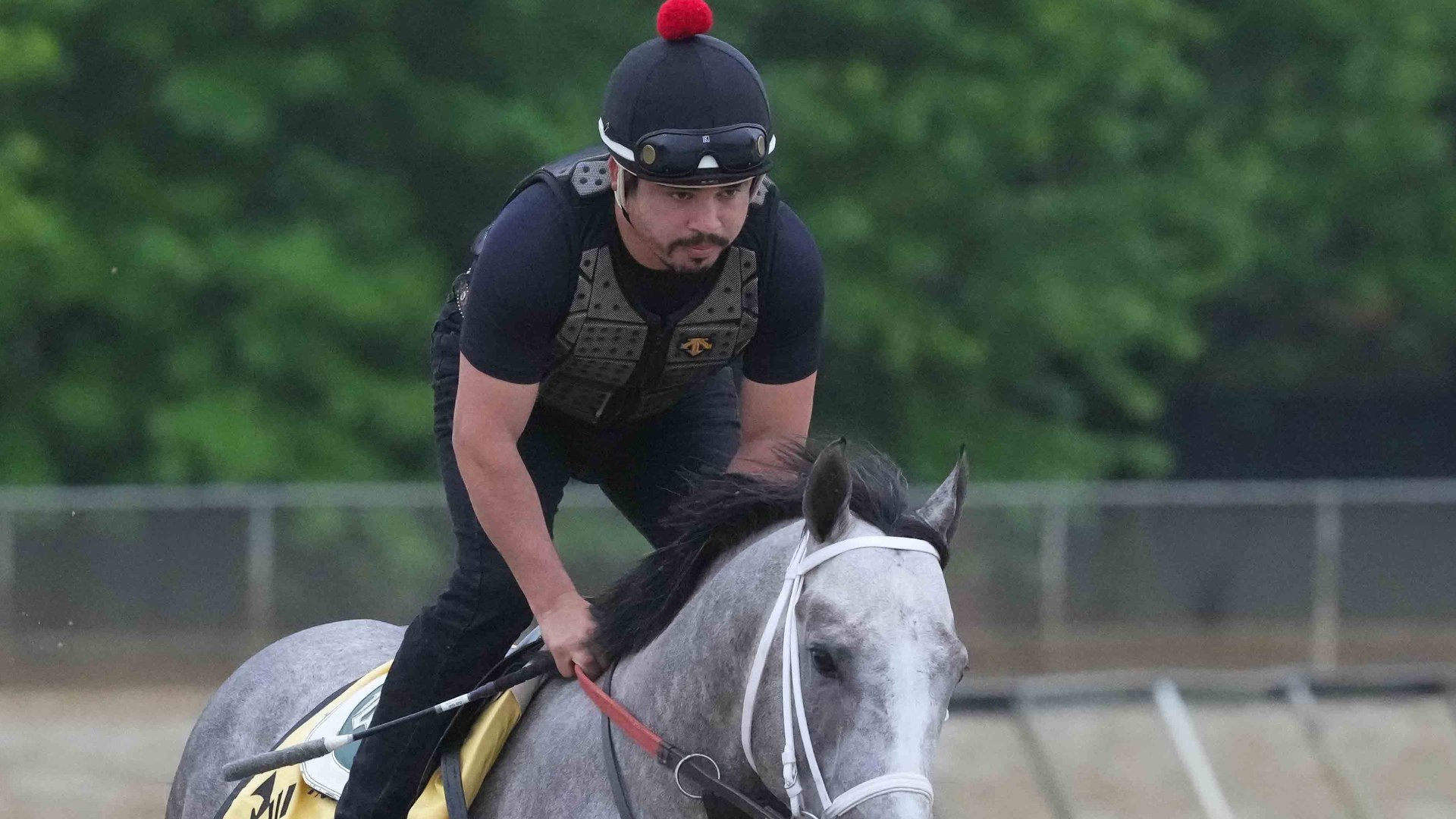 ⁣Preakness Update: Field Shrinks to 8, Muddy Track Expected