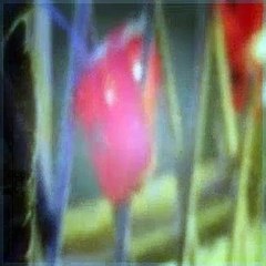 Covert Affairs Season 4 Episode 15 There Goes My Gun