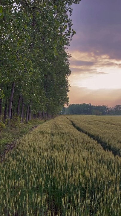 Find a place where no one is around and stay there all Afternoon