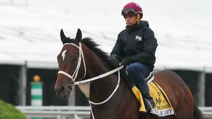 Impact of Muddy Tracks on Horse Racing Outcomes | The Preakness