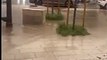 Bari, il temporale trasforma le strade in torrenti: le immagini da Carbonara