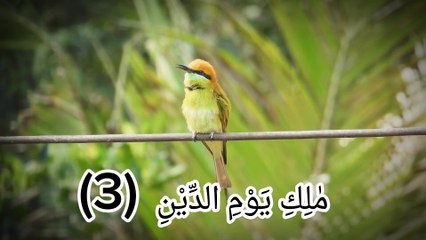 Qur'an surah "beautiful voice