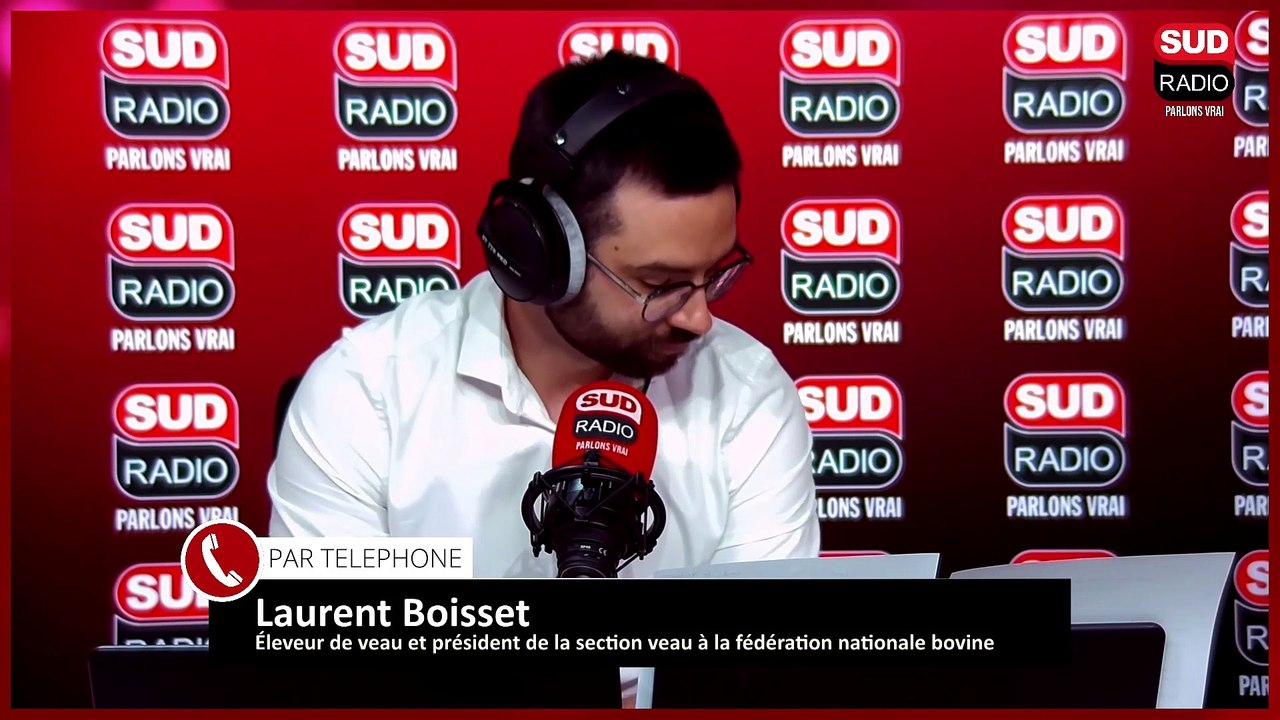 En ce week-end de Pentecôte, le veau est mis à l’honneur dans nos assiettes